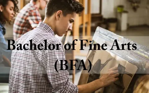 Bachelor of Fine Arts (BFA)